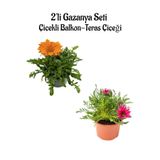 Nura Botanik Gazanya Çiçeği 2'li Set, Turuncu-Pembe Beyaz, 10-20cm, Saksılı Balkon-Teras Çiçeği