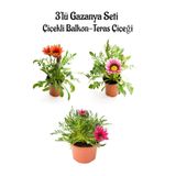 Nura Botanik Gazanya Çiçeği Seti, 3 Adet Saksılı, 10-20 cm, Kırmızı-Pembe Beyaz-Pembe Renk, Balkon Çiçeği