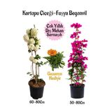 Nura Botanik Kartopu Çiçeği, Fuşya Begonvil, Turuncu Gazanya Hediyeli Saksılı Bahçe Seti, Çok Renkli