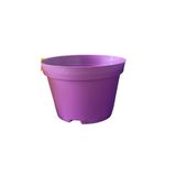 Nura Botanik Katı Plastik Sukulent Saksısı, 5 Adet, Koyu Mor, 8.5 cm