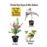 Nura Botanik Pembe Oya Ağacı Fidanı ve Mor Salkım Ağacı Fidanı Seti, 30-60 cm, İtır Çiçeği Hediyeli