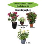 Nura Botanik Peyzaj Seti, Pembe Zakkum, Kırmızı Zakkum, Beyaz Gül, Mezem Çiçeği Hediyeli