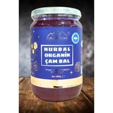 Nurbal Organik Çam Balı 1000 gr - 1 kg