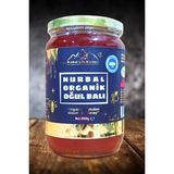 Nurbal Organik Oğul Balı 1000 gr - 1 kg