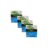 Nurs Lokman Hekim 4 Kutu Herbal Tea's Moringa Çayı 30 Süzen Poşet