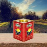 Nursan Mega Zeytin 4 kg