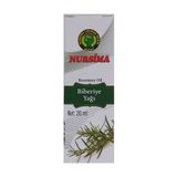 Nursima 20 ml Biberiye Yağı