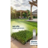 Nurteks Çim Halı Suni Çim 25 mm Yeşil Çim Bahçe Balkon Teras Balkon Çim