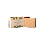 Nurxos 9608 Kalanso 100 Gr Kati Sabun 8681124696083