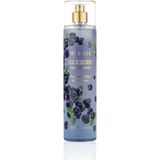 Nurxos Blueberry Fragrance Mist 250 Ml – Çiçeksi Meyveli Vücut Spreyi - 9077