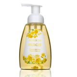 Nurxos Nergis Özlü Köpüren 350 ml El Sabunu