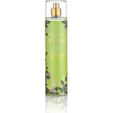 Nurxos Reyhan Erkek Fragrance Mist 250 Ml – Aromatik Parfüm Koku Spreyi - 9071