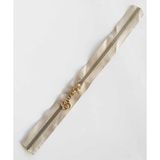 Nusrat Bilişim Çanta Aksesuar Başlıklı Fermuar 40 Cm Light Gold Metal Bej