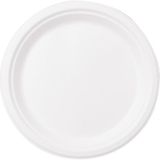 Nusrat Bilişim Karton Tabak 22Cm Gz0385 (1 Adet)