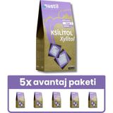Nustil Ksilitol - Xylitol 250G X5 - 250 gr