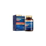 Nutraxin Multivitamin Mineral Immune 60 Tablet ( 1 Adet )