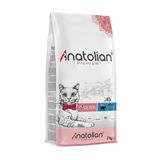 Nutri Feline Adult Salmon Somonlu Yetişkinler İçin Özel 2 kg Kedi Maması