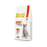 Nutri Feline Adult Somonlu 10 kg Kedi Maması