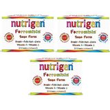 Nutrigen Ferromixin Saşe - 3 Kutu