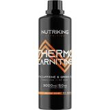 Nutriking L-Carnitine Portakal Aromalı
