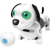 NW NessiWorld Robo Dackel Junior Robot Köpek