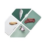 NY Home Folio Büyük Kesme Tahtası Seti, Editions (Sage), Yeşil - Ahşap