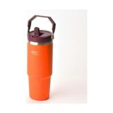 NY Home Paslanmaz Çelik Termos Matara - 900 ml (1 Litre) Kapasiteli, Pipetli ve Emzikli Çelik Suluk (4 Renk Seçeneği) (Turuncu) - 230 ml