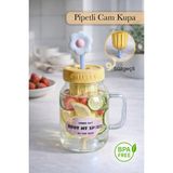 Nyl Home Pipetli Cam Kupa – Süzgeçli Borosilikat Detoks Bardağı Çiçekli Tasarım Kapaklı Meyveli Içecek Suluğu - Şeffaf