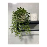 NYL HOME Saksıdan Sarkan Okaliptüs Yapay Çiçek Saksılı Dekor Çiçek Masa / Ev / Ofis Dekoru