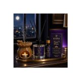 Nyora Night Queen 100 Ml Bambu Çubuklu Oda Kokusu 20 Ml Buhurdanlık Esansı Ve Seramik Buhurdanlık Premium Ortam Kokusu Serisi