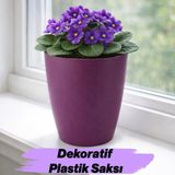 Nzb (1 Adet) Mor Kırılmaz Plastik Dekoratif Saksı 15CM Orkide Çiçek Bitki Için Kırılmaz Balkon Saksısı