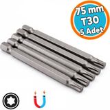 Nzb Güçlü Tayvan Çeliği Mıknatıslı Tork Torx Manyetik 1/4" Matkap Ucu 7.5 cm Uzunluk T30 Bits Uç 75 mm - Gri