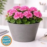 Nzb Koyu Gri Renk Kırılmaz Esnek Plastik Balkon Saksısı 12 cm Orkide Genel Kullanım Saksı (1 Adet)