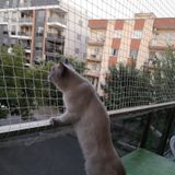 Nzl File Ambalaj Balkon Filesi - Kuş Filesi - Kedi Filesi - Kedi Ağı - 2 CM Gözenekli - 1.5 Mm İp