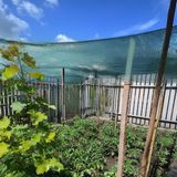 Nzl File Ambalaj Gölgelik File - Çit Filesi - 40LIK Yeşil - Düz Kenar - Çit Örtüsü - Kümes Filesi - İnşaat Filesi - Sera Filesi - Bahçe Gizleme Ağı - 1,5 m x 15 m