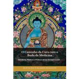 O Caminho da Cura com o Buda da Medicina: Sabedoria, Mantras e Práticas de Luz de Lápis-Lazúli (Practical Buddhist Paths & Practices)