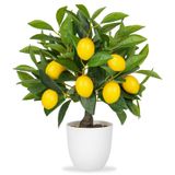 Oairse Yapay Saksı Bitkileri 15,7 inç Sahte Limon Ağacı Yapay Limon Narenciye Ağacı Beyaz Saksılı Sahte Bitkiler Ev, Ofis, Oturma Odası Masası, Masa için İç Mekan