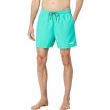 Oakley Beach Volley 16 Unisex Deniz Şortu Mint Yeşili L