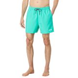 Oakley Beach Volley 16 Unisex Deniz Şortu Mint Yeşili S
