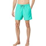 Oakley Beach Volley 16 Unisex Deniz Şortu Mint Yeşili XL