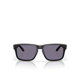 Oakley Erkek Güneş Gözlüğü 0OO950953950902