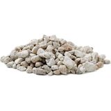 Oase Biocliff 1 L Filtre Malzemesi