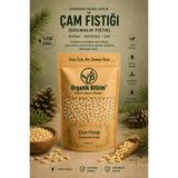 OB Organik Bitkim Çam Fıstığı (DOLMALIK FISTIK) 100 gr