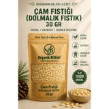 OB Organik Bitkim Çam Fıstığı (DOLMALIK FISTIK) 30 gr
