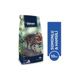 Obivan Somonlu ve Hamsili 10 kg Kedi Maması