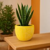 Objevi 13.5x12.5 cm Sarı Duvar Desenli Beton Saksı