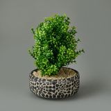 Objevi 30x14x14 cm Dekoratif Çakıl Ağacı