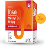 Ocean 500 µΜg Methyl B12 Sprey 5 ml - 3 Adet (Toplam 15 ml) - Dezenfektan Hediyeli (%72 Alkol)