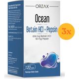 Ocean Betain HCL Pepsin 3x120 Tablet