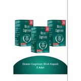 Ocean Cogniven 3x36 Kapsül